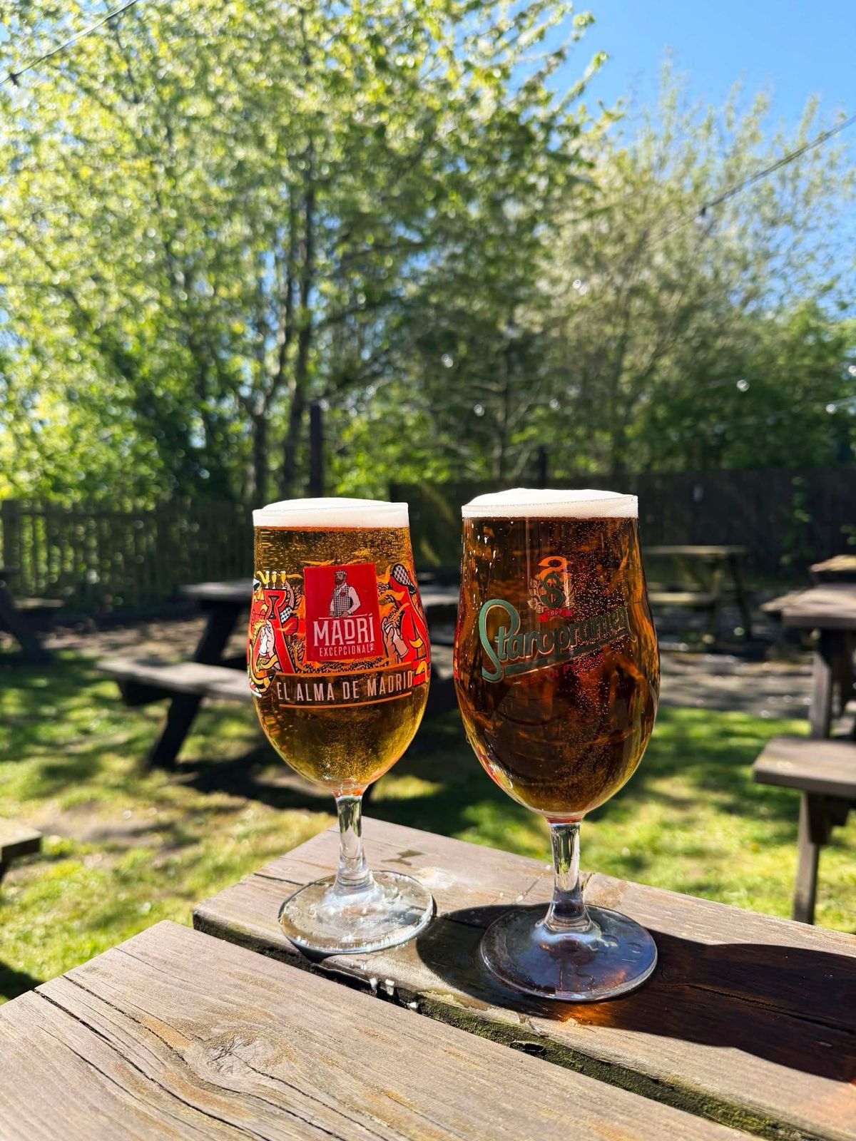 Two pints of lager on a picnic table in the sunny beer garden